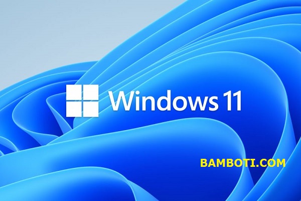 Pengertian Windows 11